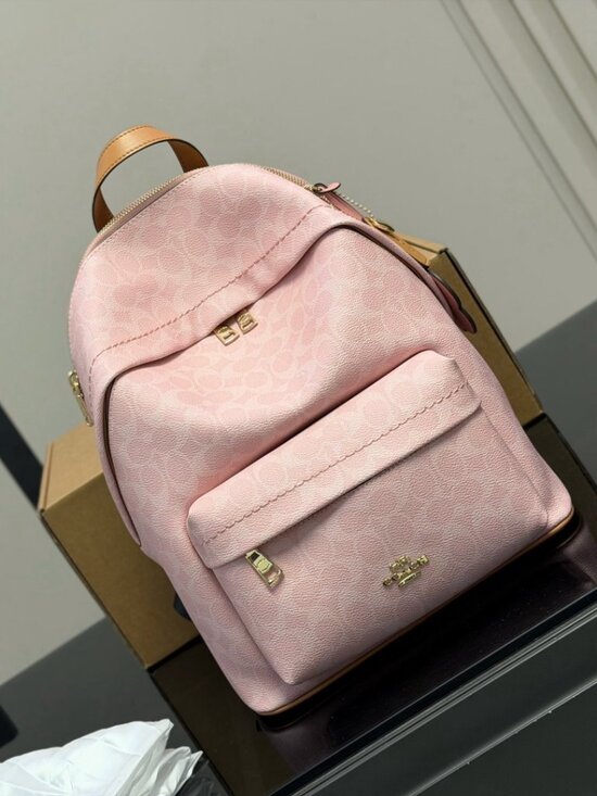 Coach Backpack Pink Signature Coated Canvas Gold Hardware Women’s main image 4